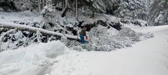 "&Mu;ά&chi;&eta;" &mu;έ&sigma;&alpha; &sigma;&tau;&alpha; &chi;&iota;ό&nu;&iota;&alpha; &gamma;&iota;&alpha; &nu;&alpha; &pi;&alpha;&rho;&alpha;&mu;&epsilon;ί&nu;&omicron;&upsilon;&nu; &alpha;&nu;&omicron;&iota;&chi;&tau;&omicron;ί &omicron;&iota; &delta;&rho;ό&mu;&omicron;&iota; &sigma;&tau;&eta; &Gamma;&omicron;&rho;&tau;&upsilon;&nu;ί&alpha; (vd)