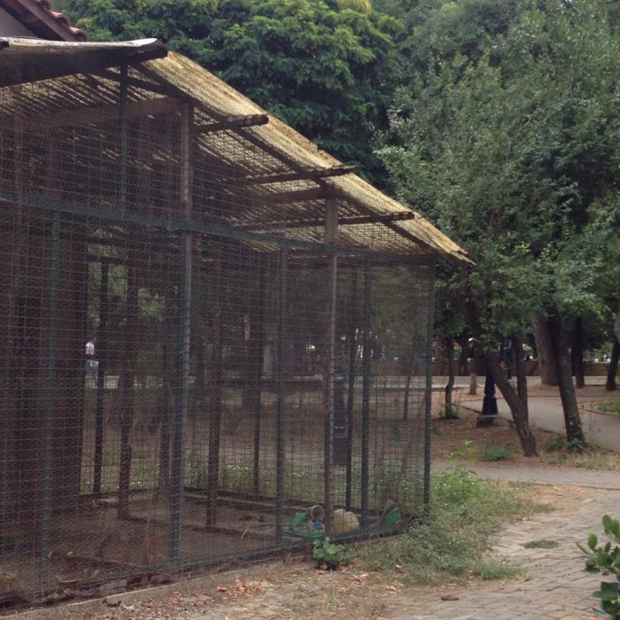 Τρίπολη - Το ξεχασμένο κλουβί δίπλα από «τραινάκι» …