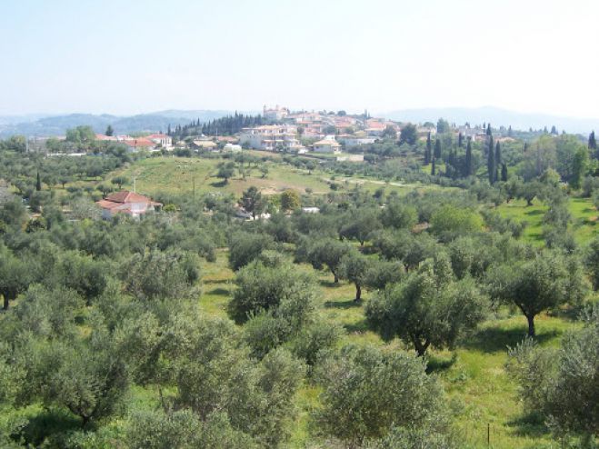 &Tau;&alpha; &Beta;&upsilon;&tau;&iota;&nu;&alpha;ί&iota;&kappa;&alpha; &tau;&eta;&sigmaf; &Eta;&lambda;&epsilon;ί&alpha;&sigmaf; &kappa;&alpha;&iota; &eta; &sigma;&chi;έ&sigma;&eta; &tau;&omicron;&upsilon;&sigmaf; &mu;&epsilon; &tau;&eta;&nu; &Gamma;&omicron;&rho;&tau;&upsilon;&nu;ί&alpha;!