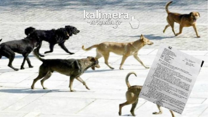 Παράταξη Παυλή | Στη δημοσιότητα έγγραφο της Κτηνιατρικής για πιθανή έκθεση ανθρώπων σε λύσσα από αδέσποτα στην Τρίπολη