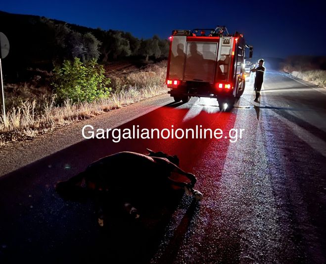 Σφοδρή σύγκρουση αυτοκινήτου με… άλογο στη Μεσσηνία!