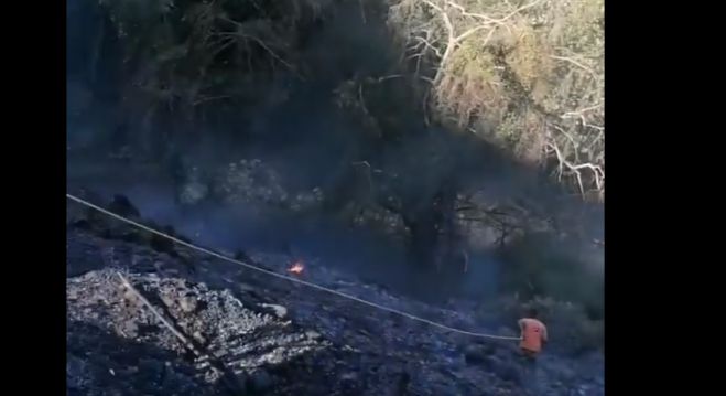 Έσβησε η φωτιά που ξέσπασε κοντά στο χωριό Βούτσι Γορτυνίας