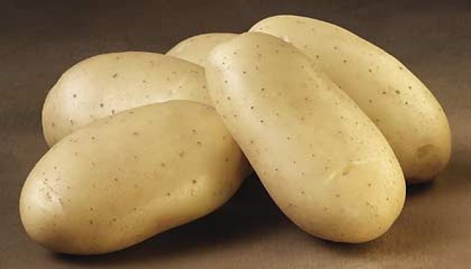 Αρκαδία - Η τιμή διάθεσης για σπόρους πατάτας ποικιλίας spuda