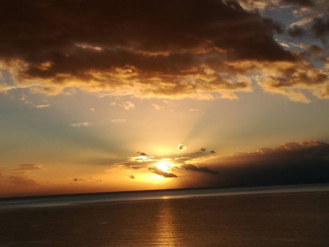 &Eta; &mu;&alpha;&gamma;&epsilon;ί&alpha; &tau;&omicron;&upsilon; &pi;&rho;&omega;&iota;&nu;&omicron;ύ &sigma;&tau;&omicron; &Lambda;&epsilon;&omega;&nu;ί&delta;&iota;&omicron; - &Upsilon;&pi;έ&rho;&omicron;&chi;&epsilon;&sigmaf; &phi;&omega;&tau;&omicron;&gamma;&rho;&alpha;&phi;ί&epsilon;&sigmaf;!