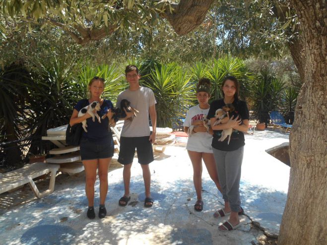 &Tau;έ&sigma;&sigma;&epsilon;&rho;&alpha; &kappa;&omicron;&upsilon;&tau;&alpha;&beta;ά&kappa;&iota;&alpha; &zeta;&eta;&tau;&omicron;ύ&nu; &tau;&eta; &phi;&rho;&omicron;&nu;&tau;ί&delta;&alpha; &mu;&alpha;&sigmaf; ...