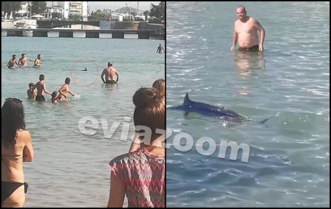 &Xi;&iota;&phi;ί&alpha;&sigmaf; &epsilon;&mu;&phi;&alpha;&nu;ί&sigma;&tau;&eta;&kappa;&epsilon; &sigma;&epsilon; &pi;&lambda;&alpha;&zeta; &tau;&eta;&sigmaf; &Chi;&alpha;&lambda;&kappa;ί&delta;&alpha;&sigmaf; - &Tau;&omicron;&nu; &pi;&epsilon;&tau;&rho;&omicron;&beta;ό&lambda;&eta;&sigma;&alpha;&nu; &mu;έ&chi;&rho;&iota; &theta;&alpha;&nu;ά&tau;&omicron;&upsilon; - &Mu;&epsilon;&gamma;ά&lambda;&epsilon;&sigmaf; &alpha;&nu;&tau;&iota;&delta;&rho;ά&sigma;&epsilon;&iota;&sigmaf;!