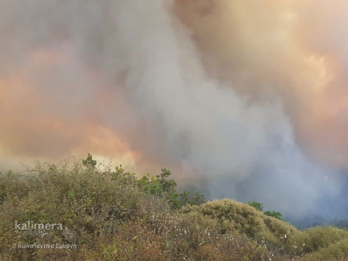 &Pi;&upsilon;&rho;ό&pi;&lambda;&eta;&kappa;&tau;&eta; &Alpha;&rho;&kappa;&alpha;&delta;ί&alpha;  &Alpha;&pi;ό &sigma;ή&mu;&epsilon;&rho;&alpha; &sigma;&epsilon; &lambda;&epsilon;&iota;&tau;&omicron;&upsilon;&rho;&gamma;ί&alpha; &delta;&upsilon;&omicron; &pi;&lambda;&alpha;&tau;&phi;ό&rho;&mu;&epsilon;&sigmaf; &gamma;&iota;&alpha; &alpha;&pi;&omicron;&zeta;&eta;&mu;&iota;ώ&sigma;&epsilon;&iota;&sigmaf; &kappa;&alpha;&iota; &delta;&omega;&rho;&epsilon;έ&sigmaf;
