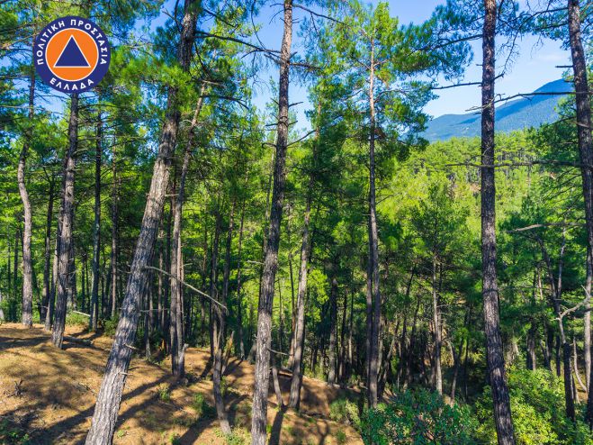 &Pi;&omicron;&lambda;ύ &upsilon;&psi;&eta;&lambda;ό&sigmaf; &kappa;ί&nu;&delta;&upsilon;&nu;&omicron;&sigmaf; &pi;&upsilon;&rho;&kappa;&alpha;&gamma;&iota;ά&sigmaf; &kappa;&alpha;&iota; &tau;&omicron; &Sigma;ά&beta;&beta;&alpha;&tau;&omicron; &gamma;&iota;&alpha; &tau;&eta;&nu; &Alpha;&rho;&kappa;&alpha;&delta;ί&alpha;