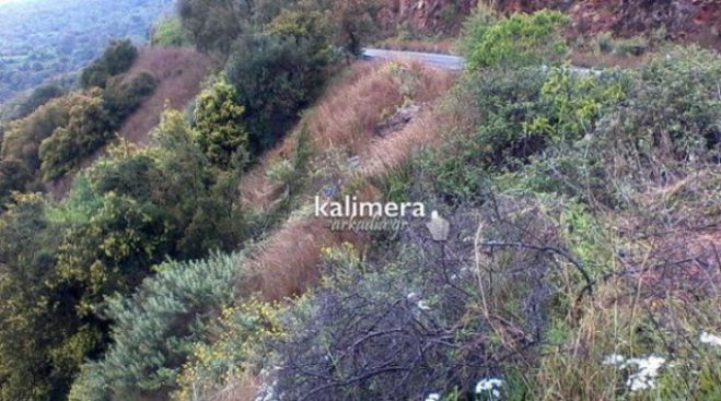 Αυτοκίνητο έπεσε σε γκρεμό 20 μέτρων στην Αρκαδία – Νεκρός 71χρονος