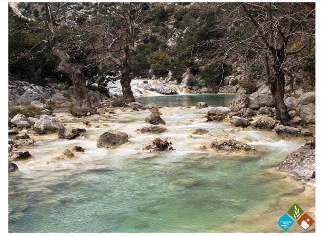 &Kappa;&alpha;&lambda;ή &epsilon;&beta;&delta;&omicron;&mu;ά&delta;&alpha; &alpha;&pi;ό &tau;&omicron;&upsilon;&sigmaf; &pi;&alpha;&nu;έ&mu;&omicron;&rho;&phi;&omicron;&upsilon;&sigmaf; &kappa;&alpha;&tau;&alpha;&rho;&rho;ά&kappa;&tau;&epsilon;&sigmaf; &tau;&eta;&sigmaf; &Lambda;&epsilon;&pi;ί&delta;&alpha;&sigmaf; &Kappa;&upsilon;&nu;&omicron;&upsilon;&rho;ί&alpha;&sigmaf;! (&epsilon;&iota;&kappa;ό&nu;&epsilon;&sigmaf;)