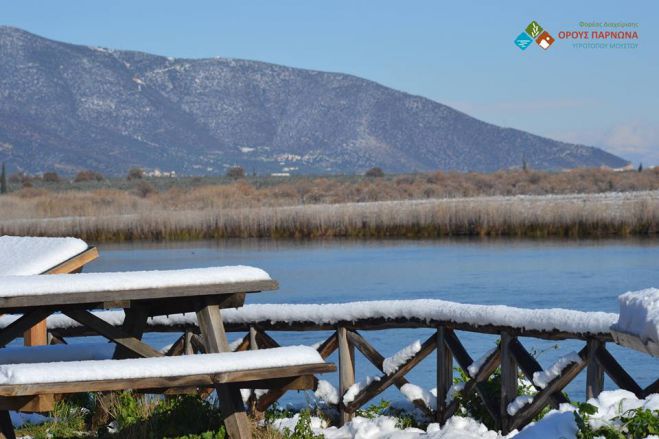 &Omicron; &chi;&iota;&omicron;&nu;&iota;&sigma;&mu;έ&nu;&omicron;&sigmaf; &upsilon;&gamma;&rho;ό&tau;&omicron;&pi;&omicron;&sigmaf; &Mu;&omicron;&upsilon;&sigma;&tau;&omicron;ύ (&epsilon;&iota;&kappa;ό&nu;&epsilon;&sigmaf;)