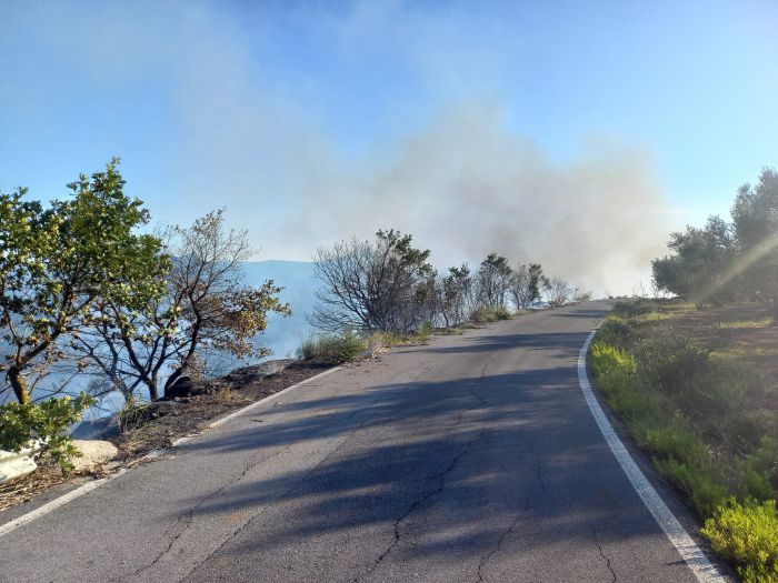 Φωτιά στην Μεγαλόπολη | Προσωρινή διακοπή κυκλοφορίας στον Κόμβο "Λεύκτρου - Σπάρτης"