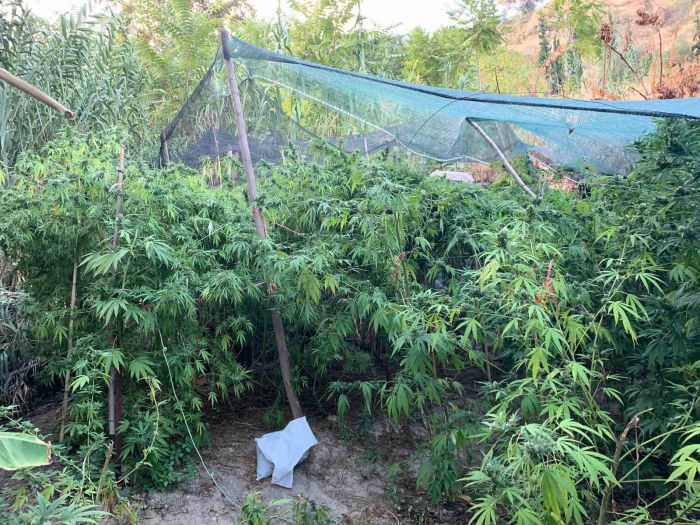 Συλλήψεις για όπλα και ναρκωτικά στην Κορινθία (εικόνες)