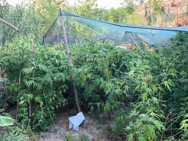 &Sigma;&upsilon;&lambda;&lambda;ή&psi;&epsilon;&iota;&sigmaf; &gamma;&iota;&alpha; ό&pi;&lambda;&alpha; &kappa;&alpha;&iota; &nu;&alpha;&rho;&kappa;&omega;&tau;&iota;&kappa;ά &sigma;&tau;&eta;&nu; &Kappa;&omicron;&rho;&iota;&nu;&theta;ί&alpha; (&epsilon;&iota;&kappa;ό&nu;&epsilon;&sigmaf;)