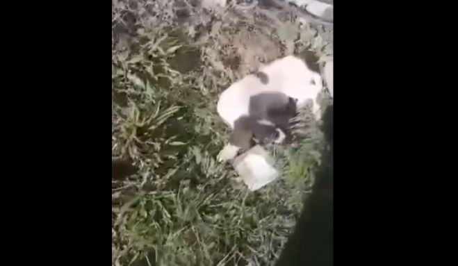 &Kappa;&alpha;&tau;&alpha;&gamma;&gamma;&epsilon;&lambda;ί&alpha; &Phi;&iota;&lambda;&omicron;&zeta;&omega;&iota;&kappa;ή&sigmaf; | "&Alpha;&upsilon;&tau;&omicron;&kappa;ί&nu;&eta;&tau;&omicron; &chi;&tau;ύ&pi;&eta;&sigma;&epsilon; &kappa;&omicron;&upsilon;&tau;&alpha;&beta;ά&kappa;&iota; &sigma;&tau;&eta; &Sigma;&kappa;&omicron;&pi;ή &kappa;&alpha;&iota; &tau;&omicron; &pi;&alpha;&rho;ά&tau;&eta;&sigma;&epsilon; &sigma;&epsilon; &chi;&alpha;&nu;&tau;ά&kappa;&iota;" (vd)