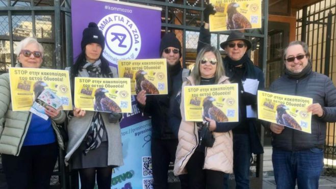 Κόμμα για τα Ζώα | Διαμαρτυρία για την κακοποίηση του αετού Οδυσσέα από την ΠΑΕ ΑΕΚ!