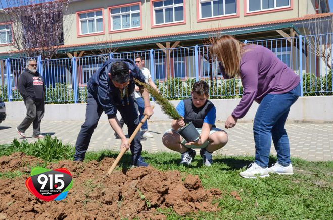 Εθελοντική δεντροφύτευση μπροστά από το 12ο Δημοτικό Σχολείο Τρίπολης (εικόνες - βίντεο)