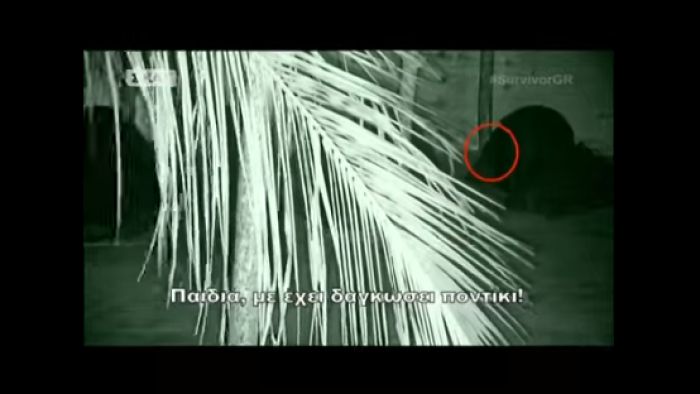 Survivor | &Pi;&omicron;&nu;&tau;ί&kappa;&iota; &mu;&pi;ή&kappa;&epsilon; &sigma;&tau;&eta;&nu; &kappa;&alpha;&lambda;ύ&beta;&alpha; &kappa;&alpha;&iota; &delta;ά&gamma;&kappa;&omega;&sigma;&epsilon; &pi;&alpha;ί&chi;&tau;&rho;&iota;&alpha;! (vd)