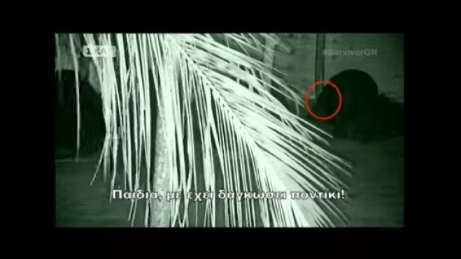 Survivor | &Pi;&omicron;&nu;&tau;ί&kappa;&iota; &mu;&pi;ή&kappa;&epsilon; &sigma;&tau;&eta;&nu; &kappa;&alpha;&lambda;ύ&beta;&alpha; &kappa;&alpha;&iota; &delta;ά&gamma;&kappa;&omega;&sigma;&epsilon; &pi;&alpha;ί&chi;&tau;&rho;&iota;&alpha;! (vd)