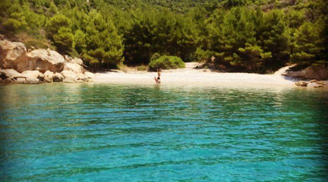 &Sigma;&alpha;&kappa;ί&rho;&alpha; &kappa;&alpha;&iota; &Pi;&iota;&kappa;έ &kappa;ά&nu;&omicron;&upsilon;&nu; &delta;&iota;&alpha;&kappa;&omicron;&pi;έ&sigmaf; &sigma;&tau;&eta;&nu; &Pi;&epsilon;&lambda;&omicron;&pi;ό&nu;&nu;&eta;&sigma;&omicron;!