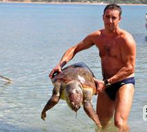 &Chi;&tau;&upsilon;&pi;&eta;&mu;έ&nu;&eta; &chi;&epsilon;&lambda;ώ&nu;&alpha; &kappa;&alpha;&rho;έ&tau;&alpha; - &kappa;&alpha;&rho;έ&tau;&alpha; &sigma;&tau;&eta;&nu; &pi;&alpha;&rho;&alpha;&lambda;ί&alpha; &Kappa;&alpha;&rho;&alpha;&theta;ώ&nu;&alpha;