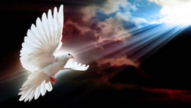 &Eta; &gamma;&iota;&omicron;&rho;&tau;ή &tau;&omicron;&upsilon; &Alpha;&gamma;ί&omicron;&upsilon; &Pi;&nu;&epsilon;ύ&mu;&alpha;&tau;&omicron;&sigmaf; &sigma;&tau;&omicron; &Kappa;&alpha;&mu;ά&rho;&iota; &Tau;&epsilon;&gamma;έ&alpha;&sigmaf;