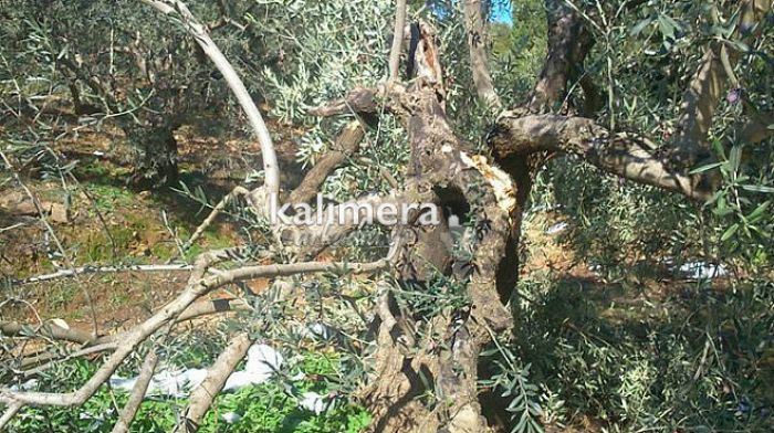 &Mu;&epsilon;&gamma;ά&lambda;&epsilon;&sigmaf; &zeta;&eta;&mu;&iota;έ&sigmaf; &pi;&rho;&omicron;&kappa;ά&lambda;&epsilon;&sigma;&epsilon; &omicron; &chi;&iota;&omicron;&nu;&iota;ά&sigmaf; &sigma;&epsilon; &kappa;&alpha;&lambda;&lambda;&iota;έ&rho;&gamma;&epsilon;&iota;&epsilon;&sigmaf; &tau;&omicron;&upsilon; &Beta;&alpha;&lambda;&tau;&epsilon;&tau;&sigma;ί&omicron;&upsilon; (&epsilon;&iota;&kappa;ό&nu;&epsilon;&sigmaf;)