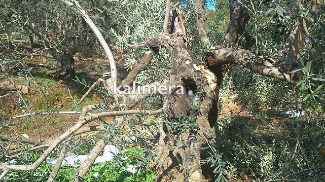 &Mu;&epsilon;&gamma;ά&lambda;&epsilon;&sigmaf; &zeta;&eta;&mu;&iota;έ&sigmaf; &pi;&rho;&omicron;&kappa;ά&lambda;&epsilon;&sigma;&epsilon; &omicron; &chi;&iota;&omicron;&nu;&iota;ά&sigmaf; &sigma;&epsilon; &kappa;&alpha;&lambda;&lambda;&iota;έ&rho;&gamma;&epsilon;&iota;&epsilon;&sigmaf; &tau;&omicron;&upsilon; &Beta;&alpha;&lambda;&tau;&epsilon;&tau;&sigma;ί&omicron;&upsilon; (&epsilon;&iota;&kappa;ό&nu;&epsilon;&sigmaf;)