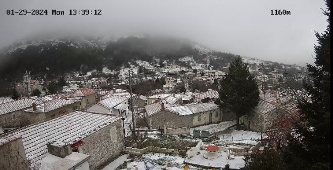 Τα Βέρβενα &quot;ντύθηκαν&quot; στα άσπρα του χιονιού!