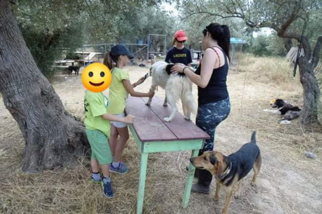 &Theta;έ&lambda;&epsilon;&iota;&sigmaf; &nu;&alpha; &sigma;&upsilon;&nu;&delta;&upsilon;ά&sigma;&epsilon;&iota;&sigmaf; &tau;&iota;&sigmaf; &delta;&iota;&alpha;&kappa;&omicron;&pi;έ&sigmaf; &sigma;&omicron;&upsilon; &mu;&epsilon; &tau;&eta; &phi;&rho;&omicron;&nu;&tau;ί&delta;&alpha; &epsilon;&nu;ό&sigmaf; &alpha;&delta;έ&sigma;&pi;&omicron;&tau;&omicron;&upsilon;;