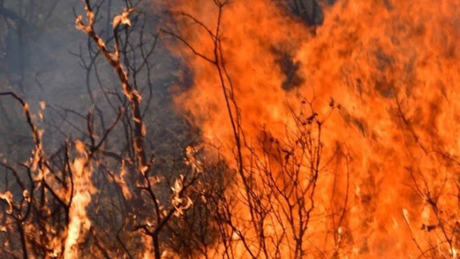 &Alpha;&nu;&tau;&iota;&pi;&epsilon;&rho;&iota;&phi;&epsilon;&rho;&epsilon;&iota;ά&rho;&chi;&eta;&sigmaf; &Eta;&lambda;&epsilon;ί&alpha;&sigmaf;: &laquo;&Sigma;&tau;&eta;&nu; &Alpha;&rho;&kappa;&alpha;&delta;ί&alpha; &pi;έ&rho;&alpha;&sigma;&epsilon; έ&nu;&alpha; &alpha;&pi;ό &tau;&alpha; &pi;ύ&rho;&iota;&nu;&alpha; &mu;έ&tau;&omega;&pi;&alpha; &pi;&omicron;&upsilon; έ&kappa;&alpha;&iota;&gamma;&epsilon; &sigma;&tau;&eta; &Nu;&epsilon;&mu;&omicron;ύ&tau;&alpha;&raquo;