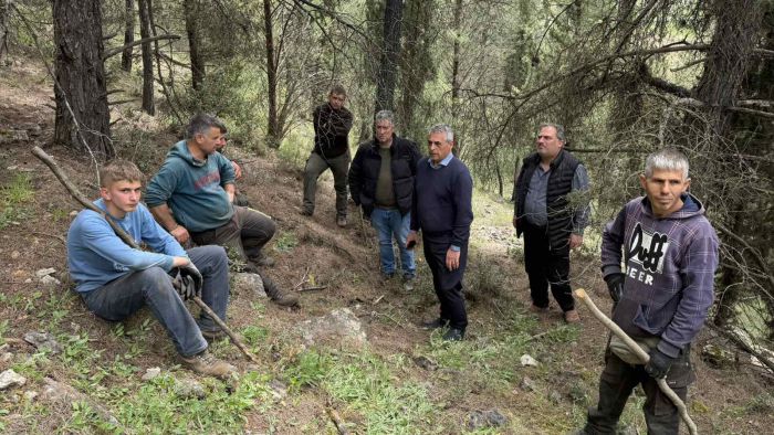 &Kappa;ώ&sigma;&tau;&alpha;&sigmaf; &Tau;&zeta;&iota;&omicron;ύ&mu;&eta;&sigmaf;: &laquo;&Theta;&omega;&rho;&alpha;&kappa;ί&zeta;&omicron;&upsilon;&mu;&epsilon; &tau;&omicron;&upsilon;&sigmaf; &omicron;&iota;&kappa;&iota;&sigma;&mu;&omicron;ύ&sigmaf; &mu;&alpha;&sigmaf; &alpha;&pi;έ&nu;&alpha;&nu;&tau;&iota; &sigma;&tau;&omicron;&nu; &kappa;ί&nu;&delta;&upsilon;&nu;&omicron; &delta;&alpha;&sigma;&iota;&kappa;ώ&nu; &pi;&upsilon;&rho;&kappa;&alpha;&gamma;&iota;ώ&nu;&rdquo; (vd)