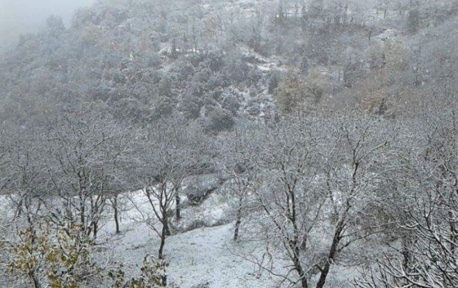 &Sigma;&tau;&alpha; "&lambda;&epsilon;&upsilon;&kappa;ά" &nu;&tau;ύ&theta;&eta;&kappa;&alpha;&nu; &chi;&omega;&rho;&iota;ά &tau;&eta;&sigmaf; &omicron;&rho;&epsilon;&iota;&nu;ή&sigmaf; &Alpha;&rho;&kappa;&alpha;&delta;ί&alpha;&sigmaf; (&epsilon;&iota;&kappa;ό&nu;&epsilon;&sigmaf;)