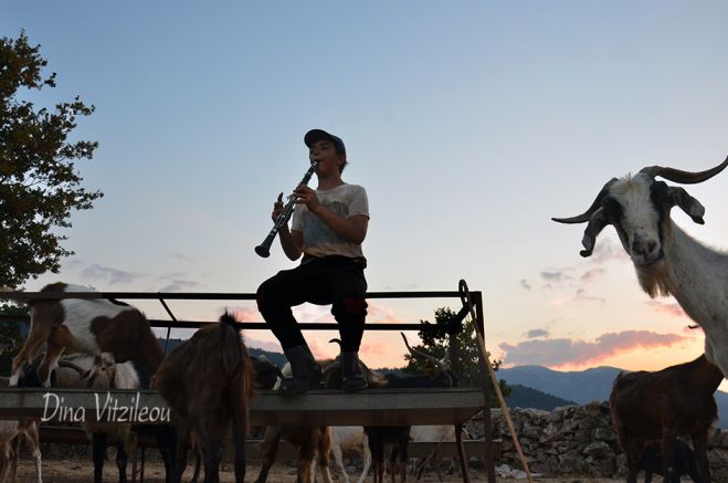 &Omicron; &mu;&iota;&kappa;&rho;ό&sigmaf; &beta;&omicron;&sigma;&kappa;ό&sigmaf; &kappa;&alpha;&iota; &alpha;&upsilon;&tau;&omicron;&delta;ί&delta;&alpha;&kappa;&tau;&omicron;&sigmaf; &mu;&omicron;&upsilon;&sigma;&iota;&kappa;ό&sigmaf; &alpha;&pi;ό &tau;&eta;&nu; &Kappa;&omicron;&upsilon;&nu;&omicron;&upsilon;&pi;&iota;ά &Kappa;&upsilon;&nu;&omicron;&upsilon;&rho;ί&alpha;&sigmaf; (vd)