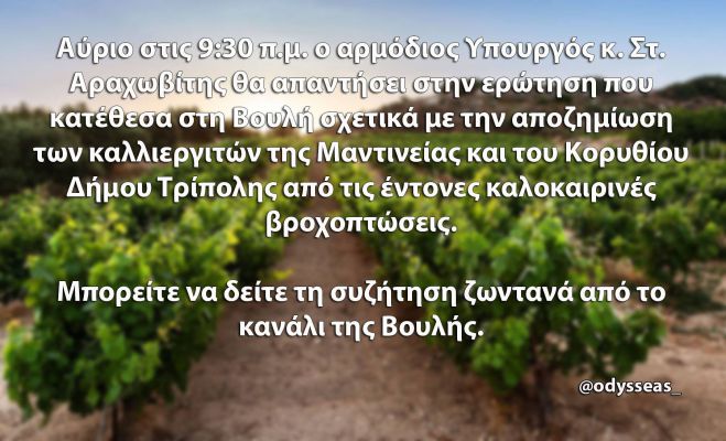 &Beta;&omicron;&upsilon;&lambda;ή | &Sigma;&upsilon;&zeta;ή&tau;&eta;&sigma;&eta; &tau;&omicron; &pi;&rho;&omega;ί &tau;&eta;&sigmaf; &Pi;έ&mu;&pi;&tau;&eta;&sigmaf; -&mu;&epsilon;&tau;ά &alpha;&pi;ό &epsilon;&rho;ώ&tau;&eta;&sigma;&eta; &Kappa;&omega;&nu;&sigma;&tau;&alpha;&nu;&tau;&iota;&nu;ό&pi;&omicron;&upsilon;&lambda;&omicron;&upsilon;- &gamma;&iota;&alpha; &tau;&iota;&sigmaf; &zeta;&eta;&mu;&iota;έ&sigmaf; &sigma;&tau;&alpha; &alpha;&mu;&pi;έ&lambda;&iota;&alpha; &tau;&eta;&sigmaf; &Mu;&alpha;&nu;&tau;&iota;&nu;&epsilon;ί&alpha;&sigmaf;