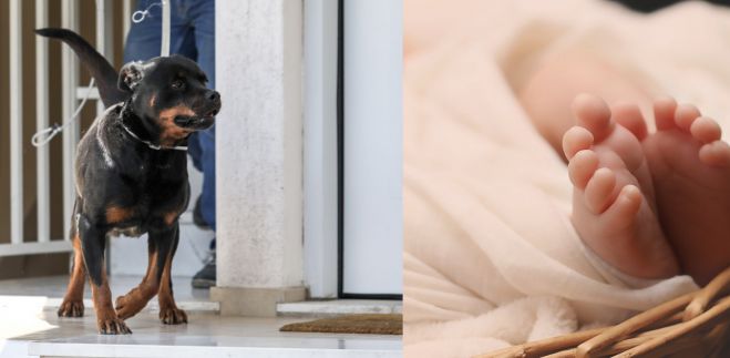 &Sigma;&upsilon;&gamma;&kappa;&lambda;&omicron;&nu;ί&zeta;&epsilon;&iota; &eta; &kappa;&alpha;&tau;ά&theta;&epsilon;&sigma;&eta; &tau;&eta;&sigmaf; &mu;ά&nu;&alpha;&sigmaf; &gamma;&iota;&alpha; &tau;&omicron; &nu;&epsilon;&kappa;&rho;ό &kappa;&omicron;&rho;&iota;&tau;&sigma;ά&kappa;&iota; &alpha;&pi;ό &tau;&eta;&nu; &epsilon;&pi;ί&theta;&epsilon;&sigma;&eta; &rho;&omicron;&tau;&beta;ά&iota;&lambda;&epsilon;&rho; (vd)