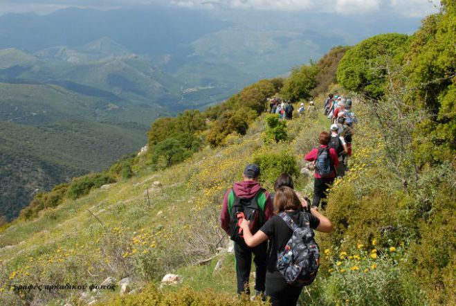 16 &omicron;&iota;&kappa;&iota;&sigma;&mu;&omicron;ί &sigma;&upsilon;&nu;&epsilon;&rho;&gamma;ά&zeta;&omicron;&nu;&tau;&alpha;&iota; &mu;&epsilon; &sigma;&tau;ό&chi;&omicron; &tau;&eta;&nu; &epsilon;&upsilon;&rho;&omega;&pi;&alpha;ϊ&kappa;ή &pi;&iota;&sigma;&tau;&omicron;&pi;&omicron;ί&eta;&sigma;&eta; &tau;&omega;&nu; &mu;&omicron;&nu;&omicron;&pi;&alpha;&tau;&iota;ώ&nu; &tau;&eta;&sigmaf; &Gamma;&omicron;&rho;&tau;&upsilon;&nu;ί&alpha;&sigmaf;!