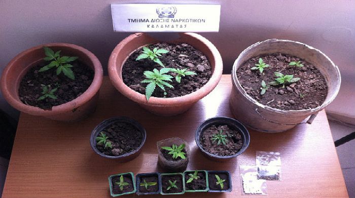 7 συλλήψεις από την Αστυνομία στην Αρκαδία