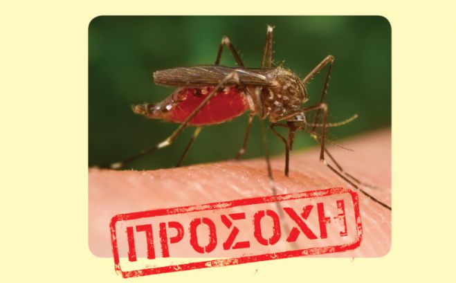 &Iota;ό&sigmaf; &Delta;&upsilon;&tau;&iota;&kappa;&omicron;ύ &Nu;&epsilon;ί&lambda;&omicron;&upsilon; | &Gamma;&iota;&alpha; &kappa;&rho;&omicron;ύ&sigma;&mu;&alpha; &sigma;&tau;&eta;&nu; &Alpha;&rho;&kappa;&alpha;&delta;ί&alpha; &mu;&iota;&lambda;ά &tau;&omicron; &Kappa;&Epsilon;&Epsilon;&Lambda;&Pi;&Nu;&Omicron;
