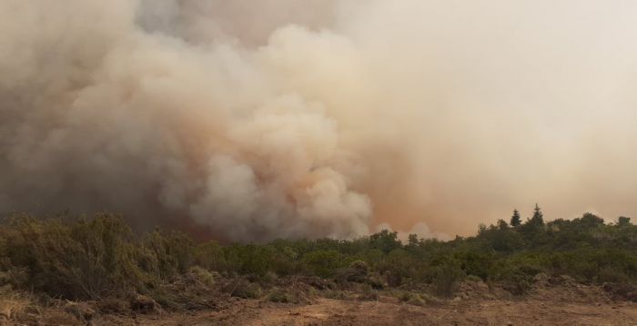 &Alpha;&pi;&omicron;&sigma;&tau;&omicron;&lambda;ό&pi;&omicron;&upsilon;&lambda;&omicron;&sigmaf;: "&Gamma;&iota;&alpha;&tau;ί &delta;&epsilon;&nu; &upsilon;&pi;ή&rho;&chi;&epsilon; έ&nu;&alpha; &epsilon;&lambda;&iota;&kappa;ό&pi;&tau;&epsilon;&rho;&omicron; &gamma;&iota;&alpha; &tau;&iota;&sigmaf; &phi;&omega;&tau;&iota;έ&sigmaf; &tau;&eta;&sigmaf; &Mu;&epsilon;&gamma;&alpha;&lambda;ό&pi;&omicron;&lambda;&eta;&sigmaf;;" (vd)