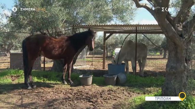 Στην Τρίπολη σήμερα η εκπομπή "Όπου υπάρχει Ελλάδα"! (vd)
