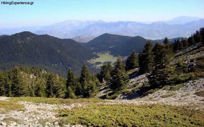 &Sigma;&tau;&omicron; &Delta;&upsilon;&tau;&iota;&kappa;ό &Mu;&alpha;ί&nu;&alpha;&lambda;&omicron; &omicron; &Sigma;&Alpha;&Omicron;&Omicron;