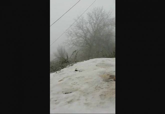 Ό&lambda;&alpha; &lambda;&epsilon;&upsilon;&kappa;ά &sigma;&tau;&omicron;&nu; Ά&gamma;&iota;&omicron; &Pi;έ&tau;&rho;&omicron; &Kappa;&upsilon;&nu;&omicron;&upsilon;&rho;ί&alpha;&sigmaf; - &Delta;&epsilon;ί&tau;&epsilon; &beta;ί&nu;&tau;&epsilon;&omicron;!