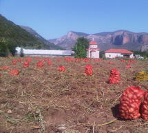 &Pi;έ&nu;&tau;&epsilon; &tau;ό&nu;&omicron;&upsilon;&sigmaf; &pi;&alpha;&tau;ά&tau;&epsilon;&sigmaf; &theta;&alpha; &mu;&omicron;&iota;&rho;ά&sigma;&epsilon;&iota; &eta; &Epsilon;&kappa;&kappa;&lambda;&eta;&sigma;ί&alpha; &sigma;&epsilon; &Phi;&iota;&lambda;&alpha;&nu;&theta;&rho;&omega;&pi;&iota;&kappa;ά &Iota;&delta;&rho;ύ&mu;&alpha;&tau;&alpha; &tau;&omicron;&upsilon; &Lambda;&epsilon;&omega;&nu;&iota;&delta;ί&omicron;&upsilon; &kappa;&alpha;&iota; &tau;&eta;&sigmaf; &Tau;&rho;ί&pi;&omicron;&lambda;&eta;&sigmaf;!