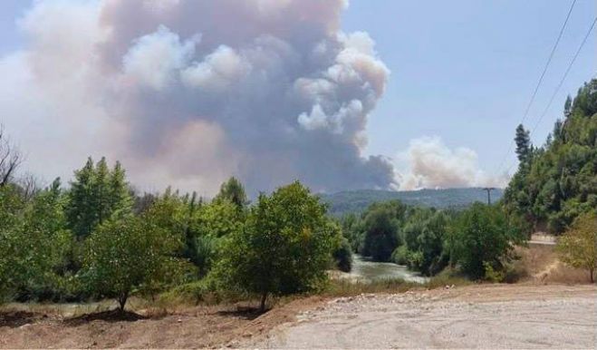 &Sigma;&Upsilon;&Rho;&Iota;&Zeta;&Alpha; &Delta;&upsilon;&tau;&iota;&kappa;&omicron;ύ &Tau;&omicron;&mu;έ&alpha; &Tau;&rho;ί&pi;&omicron;&lambda;&eta;&sigmaf;: "&Upsilon;&pi;ά&rho;&chi;&epsilon;&iota; &sigma;&chi;έ&delta;&iota;&omicron; &alpha;&nu;&tau;&iota;&mu;&epsilon;&tau;ώ&pi;&iota;&sigma;&eta;&sigmaf; &phi;&upsilon;&sigma;&iota;&kappa;ώ&nu; &kappa;&alpha;&tau;&alpha;&sigma;&tau;&rho;&omicron;&phi;ώ&nu; ή ό&chi;&iota;;"