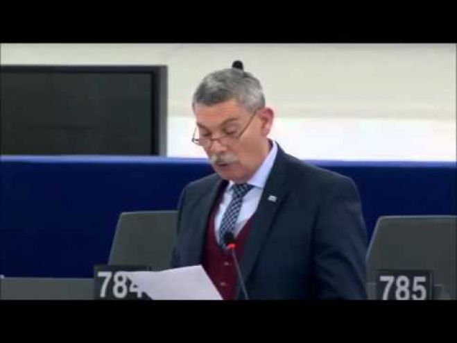 Συναδινός στο Ευρωκοινοβούλιο: &quot;Θα μιλήσω στα ελληνικά, στη γλώσσα που μιλούσε ο Μέγας Αλέξανδρος&quot;! (vd)