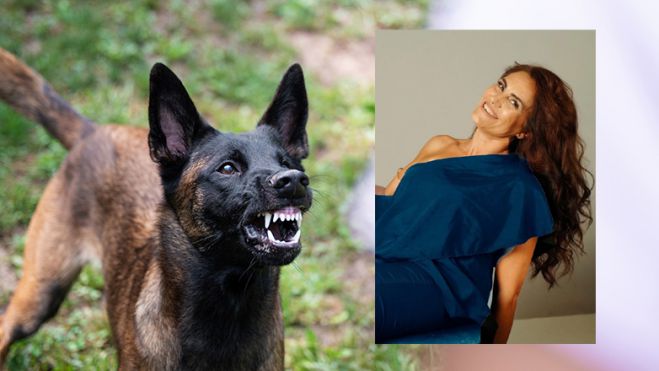 &Sigma;&upsilon;&gamma;&kappa;&lambda;&omicron;&nu;&iota;&sigma;&tau;&iota;&kappa;ό | &Kappa;&lambda;ά&delta;&epsilon;&upsilon;&epsilon; &tau;&omicron;&nu; &kappa;ή&pi;&omicron; &tau;&eta;&sigmaf; &kappa;&alpha;&iota; &tau;&eta;&nu; &kappa;&alpha;&tau;&alpha;&sigma;&pi;ά&rho;&alpha;&xi;&alpha;&nu; &tau;&alpha; &sigma;&kappa;&upsilon;&lambda;&iota;ά