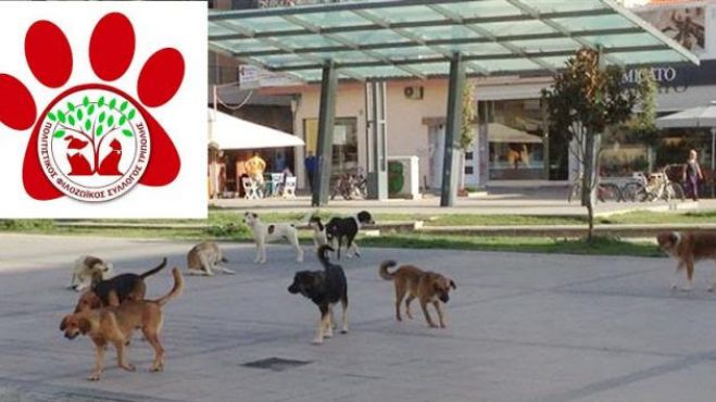 &Phi;&iota;&lambda;&omicron;&zeta;&omega;ϊ&kappa;ό&sigmaf;: "&Sigma;&epsilon; &pi;&alpha;&rho;ά&kappa;&rho;&omicron;&upsilon;&sigma;&eta; &eta; &pi;&alpha;&rho;ά&tau;&alpha;&xi;&eta; &Pi;&alpha;&upsilon;&lambda;ή"