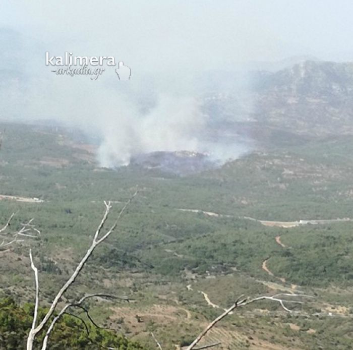 &Phi;&omega;&tau;&iota;έ&sigmaf; &sigma;&tau;&eta; &Phi;&alpha;&lambda;&alpha;&iota;&sigma;ί&alpha; | &Omicron; &delta;&upsilon;&nu;&alpha;&tau;ό&sigmaf; &alpha;έ&rho;&alpha;&sigmaf; έ&phi;&epsilon;&rho;&epsilon; &tau;&eta; &mu;&upsilon;&rho;&omega;&delta;&iota;ά &tau;&omicron;&upsilon; &kappa;&alpha;&pi;&nu;&omicron;ύ ... &omega;&sigmaf; &tau;&eta;&nu; &Tau;&rho;ί&pi;&omicron;&lambda;&eta;!