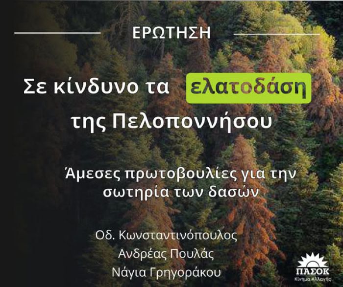 &Kappa;&omega;&nu;&sigma;&tau;&alpha;&nu;&tau;&iota;&nu;ό&pi;&omicron;&upsilon;&lambda;&omicron;&sigmaf; &sigma;&tau;&eta; &Beta;&omicron;&upsilon;&lambda;ή: "&Sigma;&epsilon; &kappa;ί&nu;&delta;&upsilon;&nu;&omicron; &tau;&alpha; &epsilon;&lambda;&alpha;&tau;&omicron;&delta;ά&sigma;&eta; &tau;&eta;&sigmaf; &Pi;&epsilon;&lambda;&omicron;&pi;&omicron;&nu;&nu;ή&sigma;&omicron;&upsilon;"